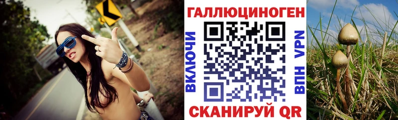 Галлюциногенные грибы Magic Shrooms Нальчик